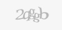 Apsaugos kodas